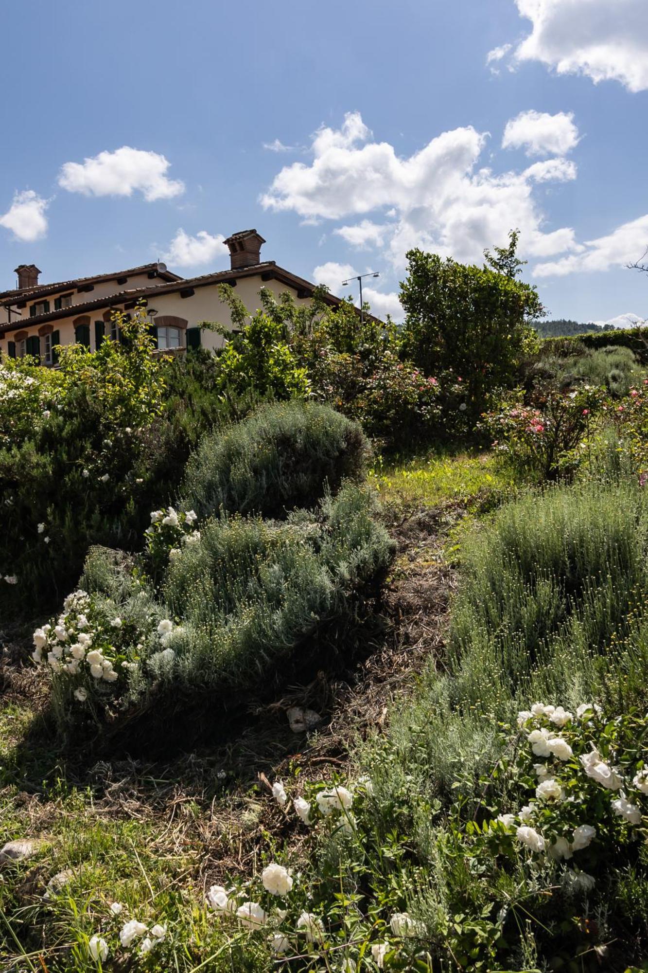 Tenuta Borgo San Michele Губбио Экстерьер фото